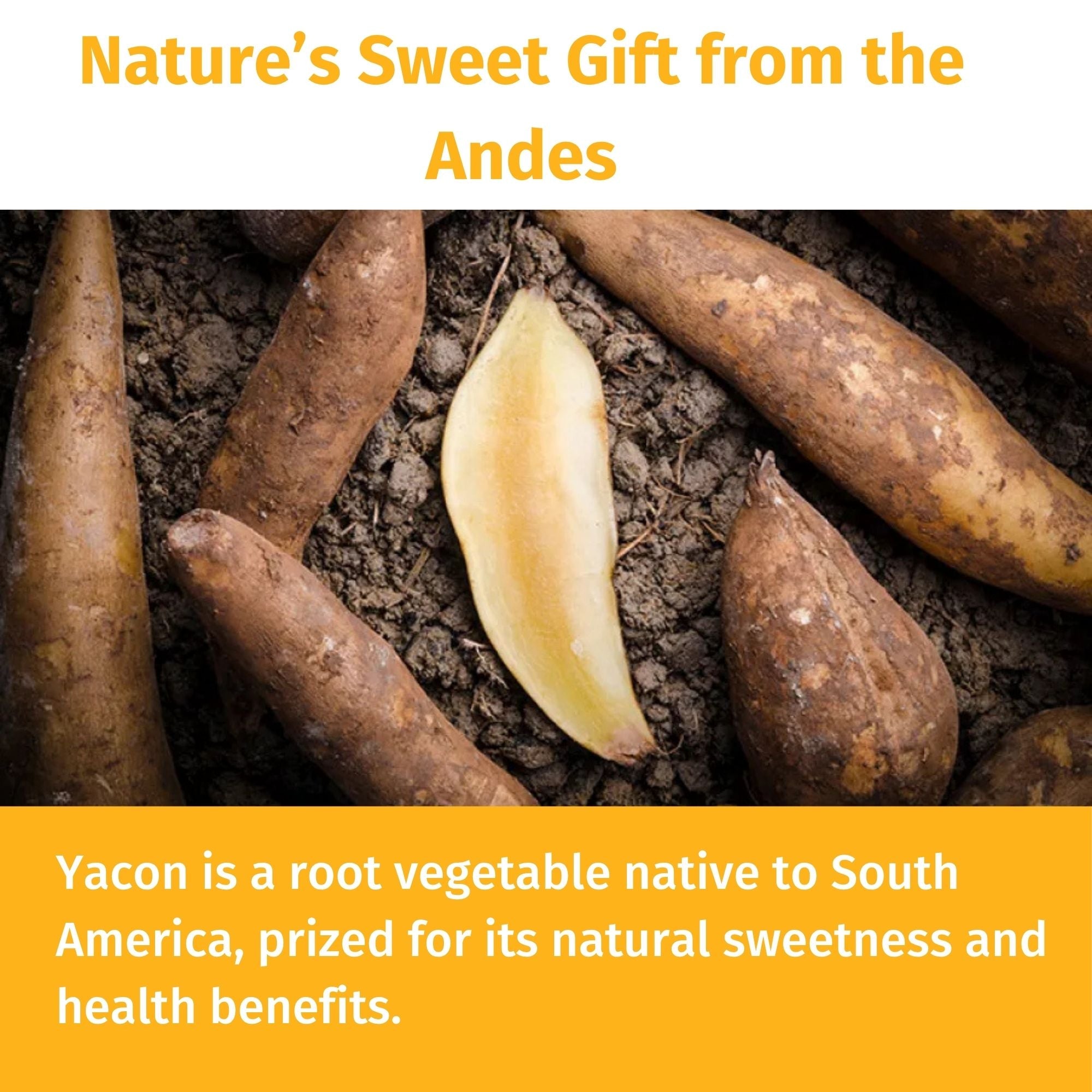 Organic Yacon Syrup