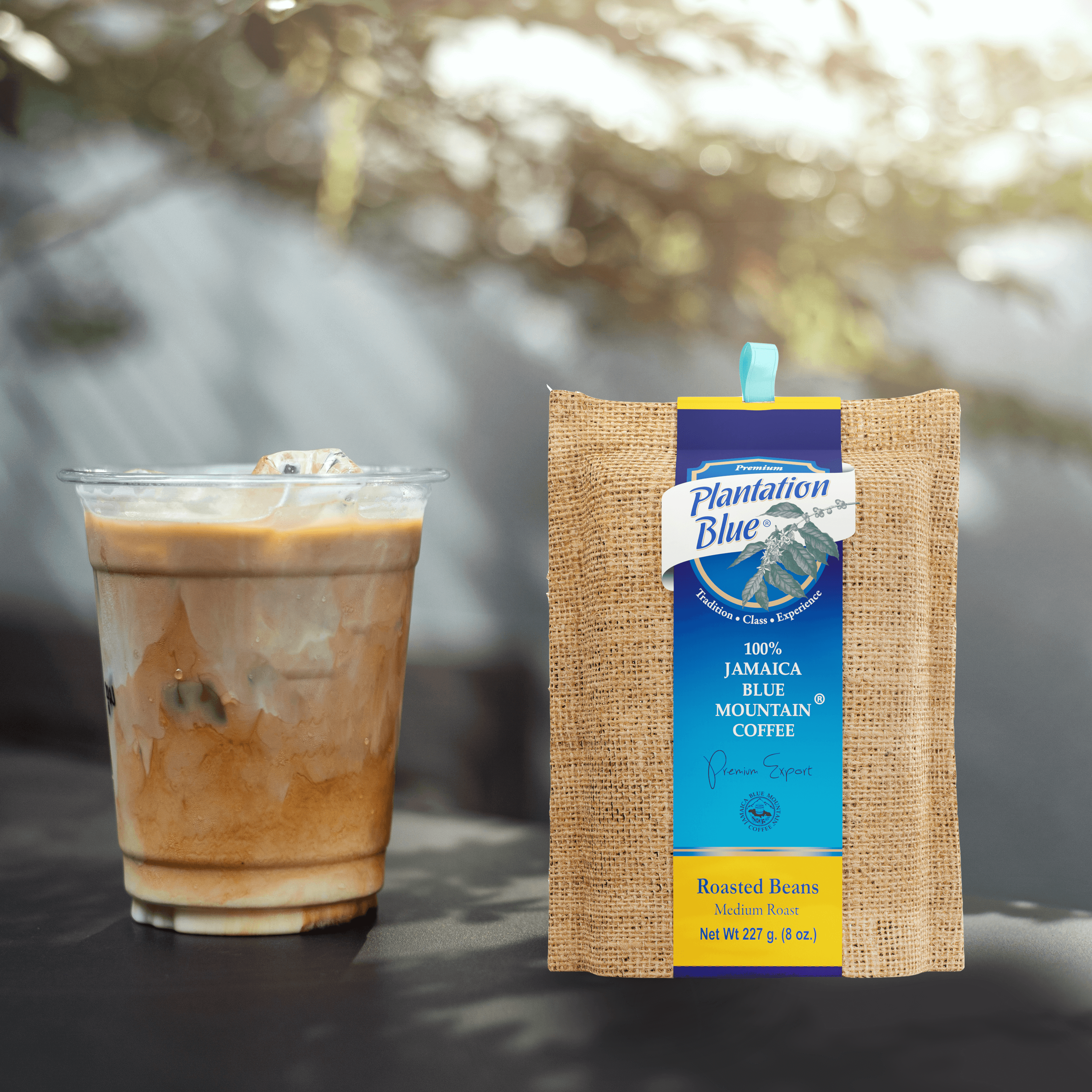 Plantation Blue 100% Jamaica Blue Mountain Premium Coffee (8oz - medium roasted whole beans)