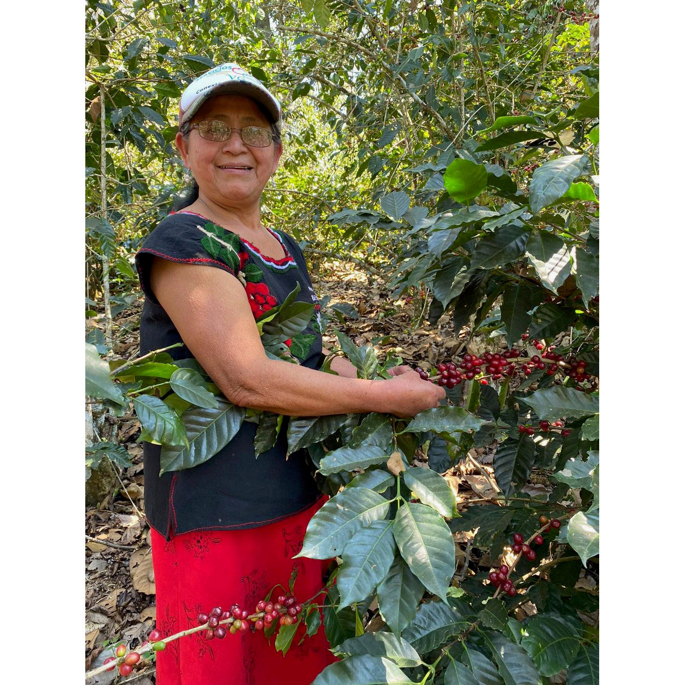 Rosalba's Mexico | Medium Roast