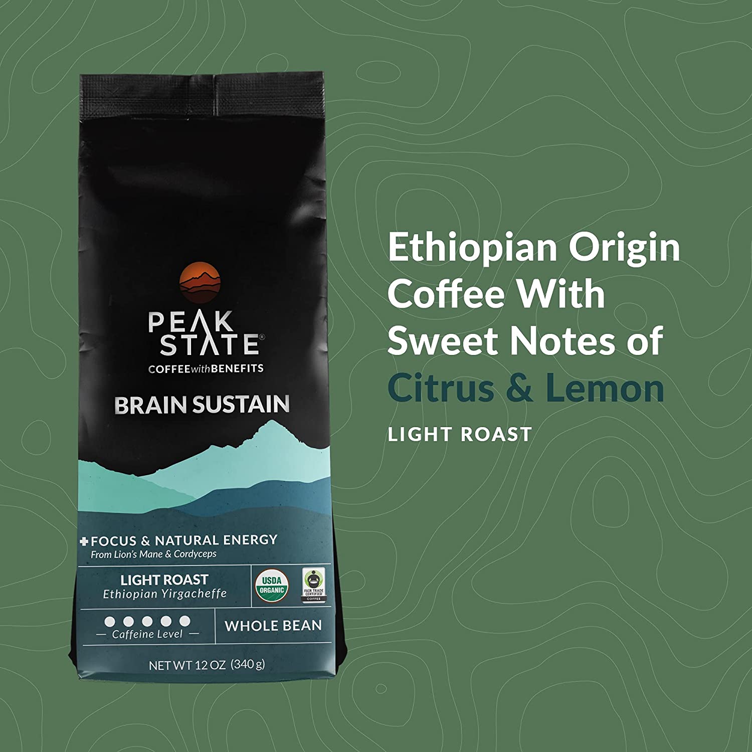 [FM] BRAIN SUSTAIN Light Roast - 5lb Whole Bean