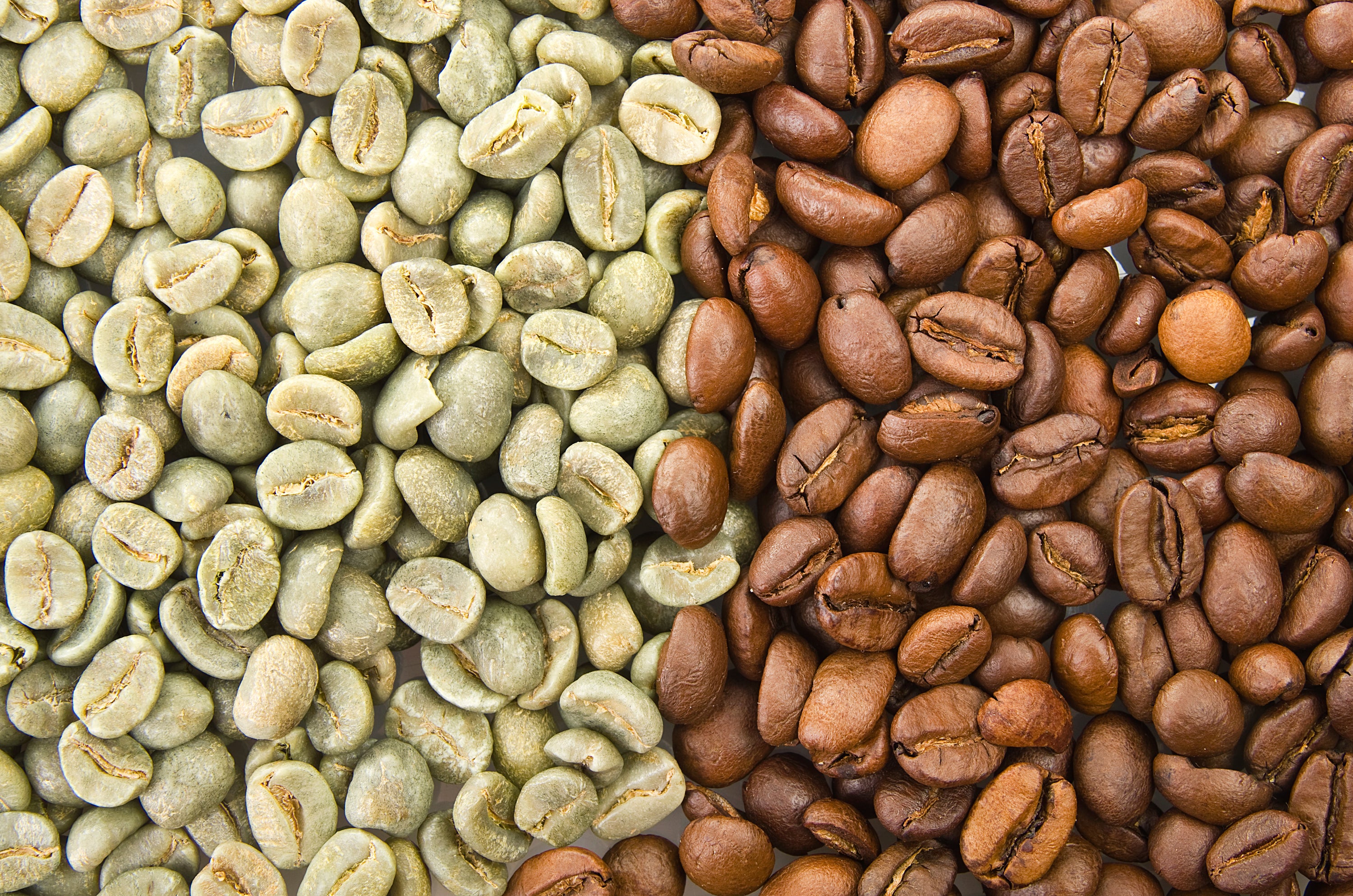 Coffee that tastes like freedom