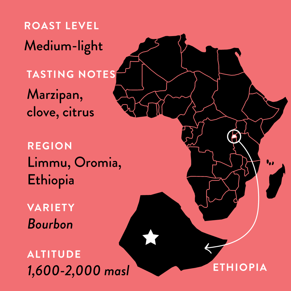 Atnago's Ethiopia | Medium-Light Roast