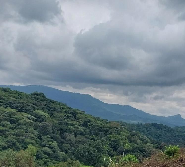 Atnago's Ethiopia | Medium-Light Roast