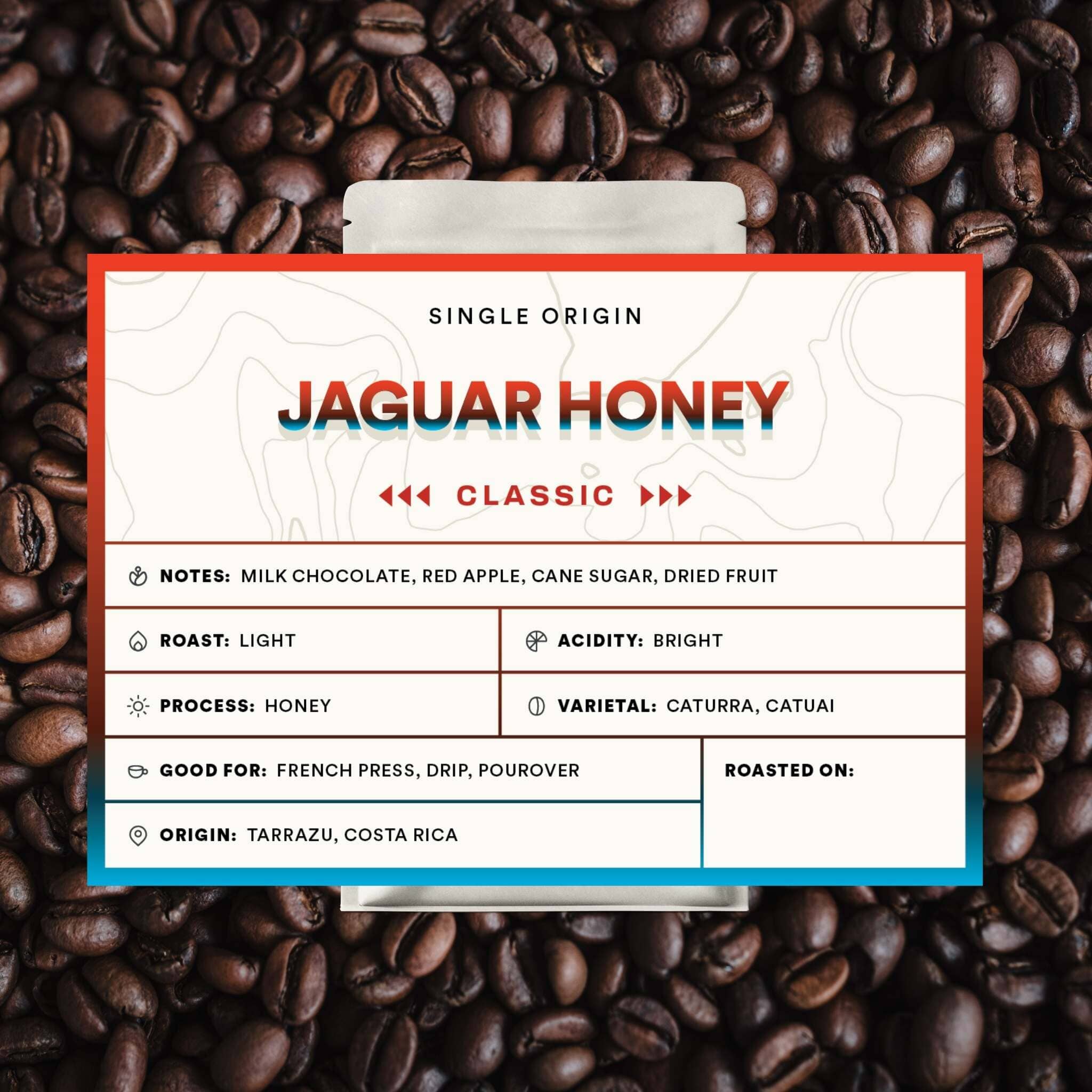 Costa Rica Tarrazú Jaguar Honey