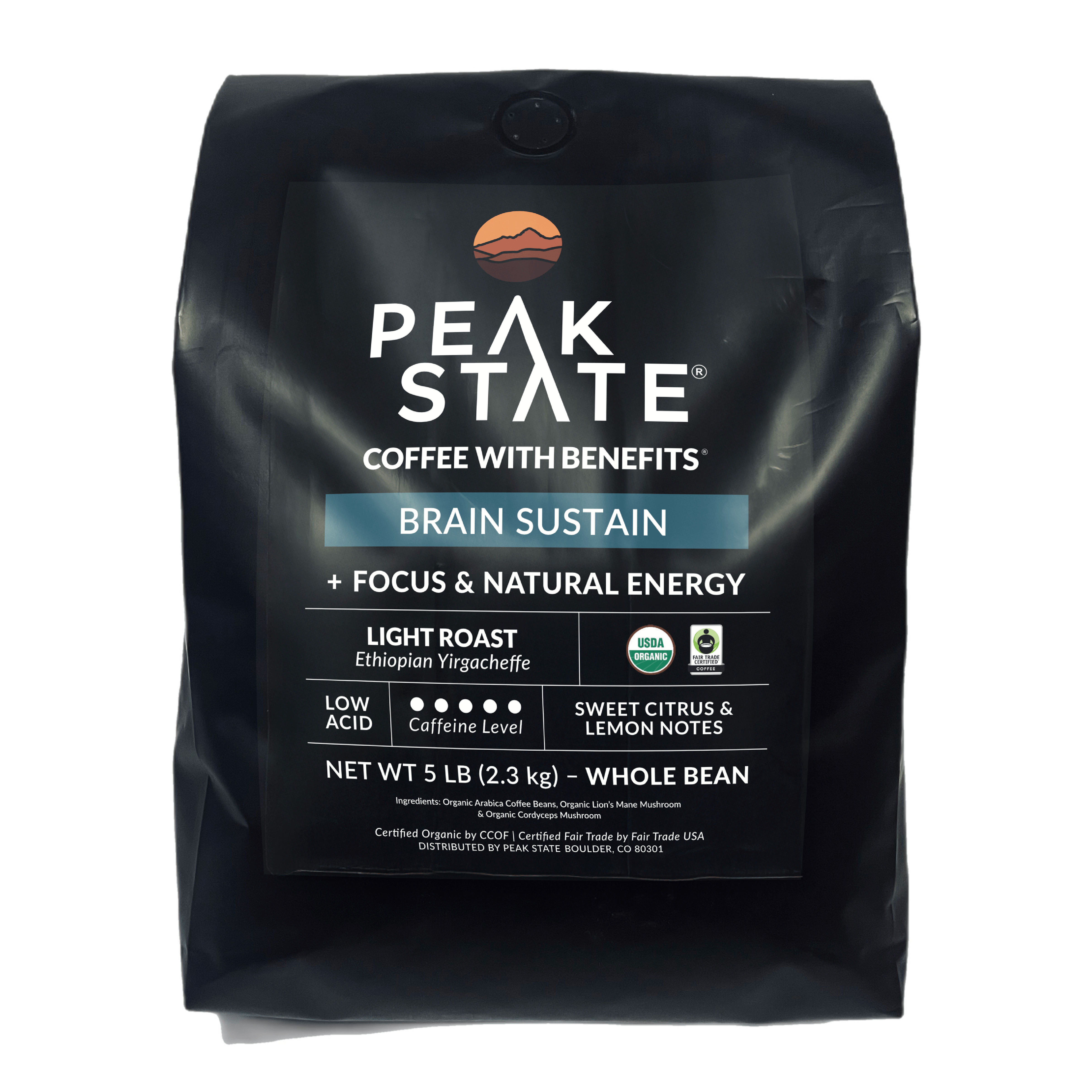 [FM] BRAIN SUSTAIN Light Roast - 5lb Whole Bean