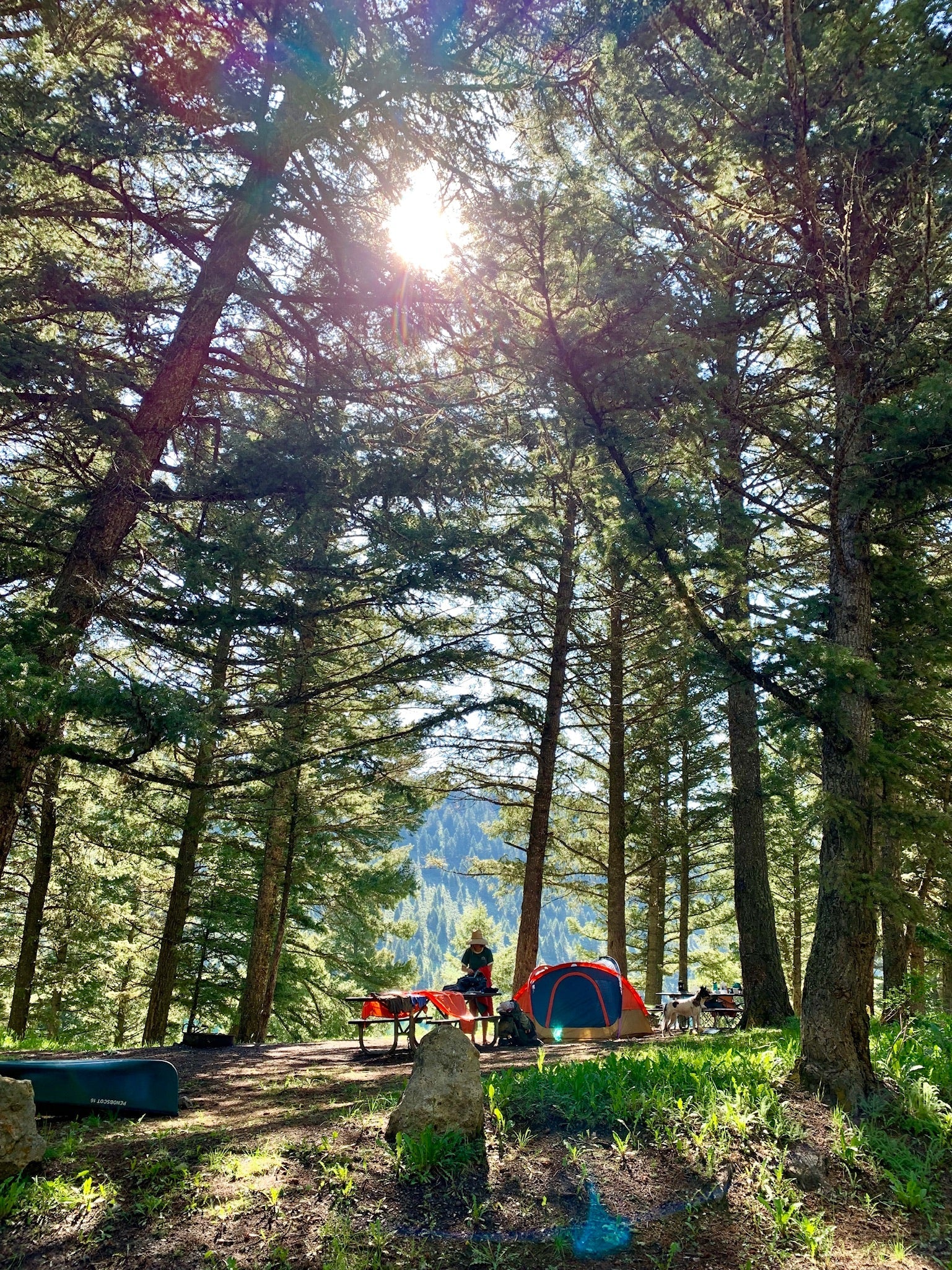 Happy Camper