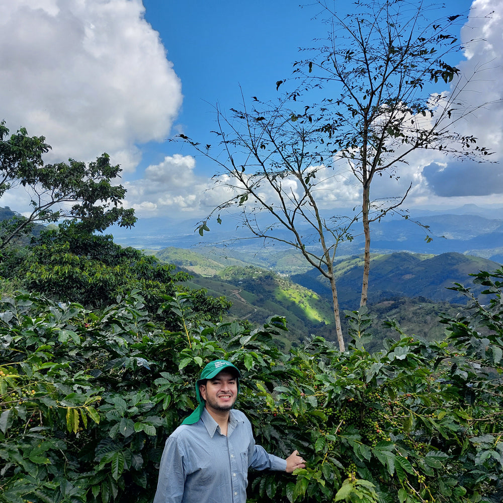 Honduran Espresso Blend – Medium-Dark Roast Specialty Coffee