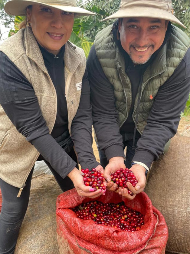 Lilly's Guatemala | Medium Roast