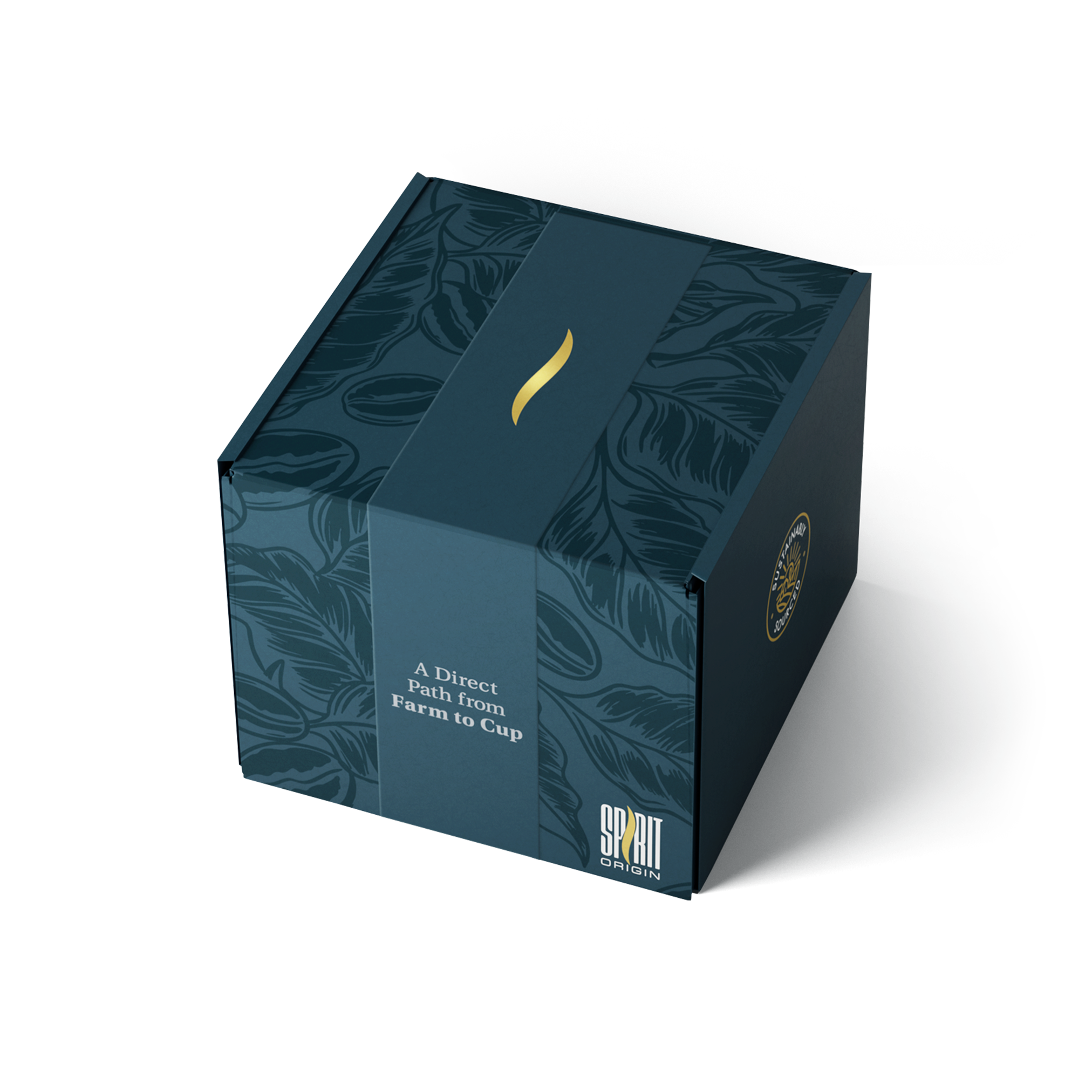 Single-Serve Pour-Over Drip Coffee Bags – Parainema Medium Roast Specialty Coffee (10-Pack)