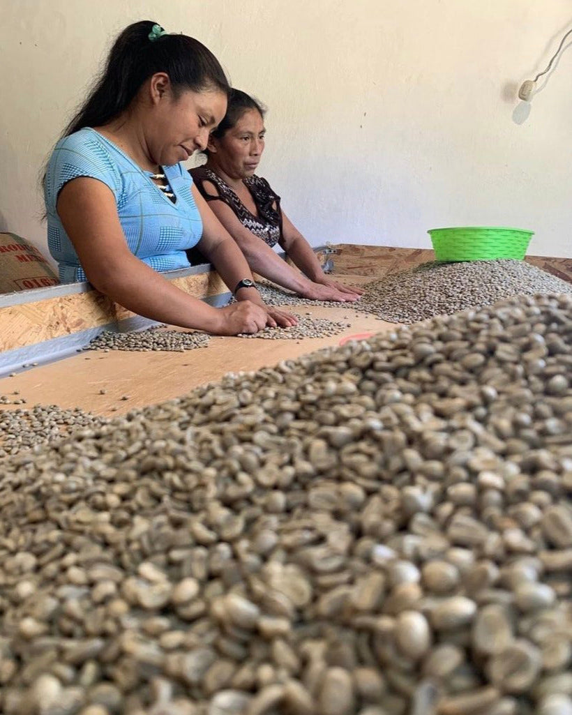 Rosalba's Mexico | Medium Roast