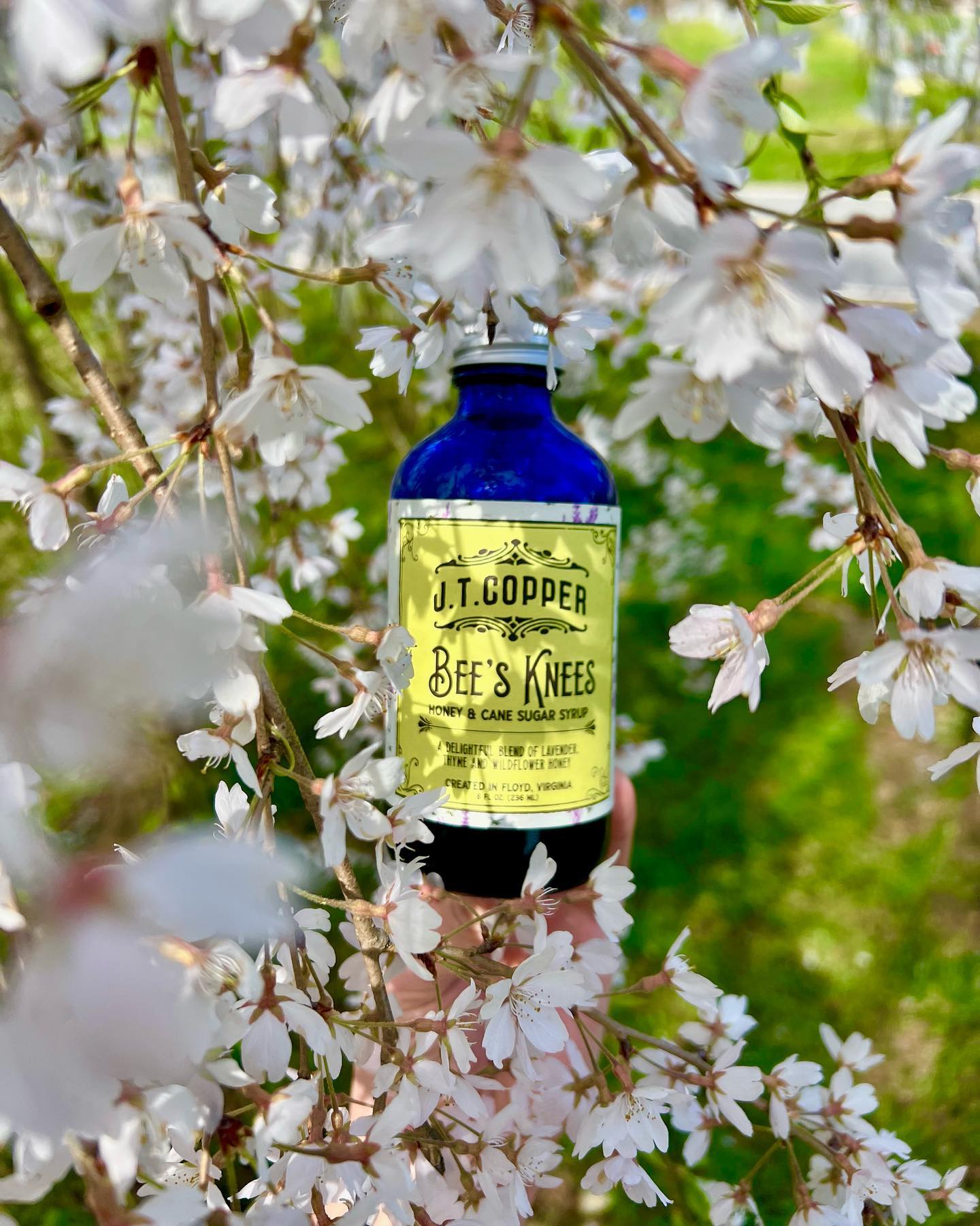 Bee's Knees Syrup