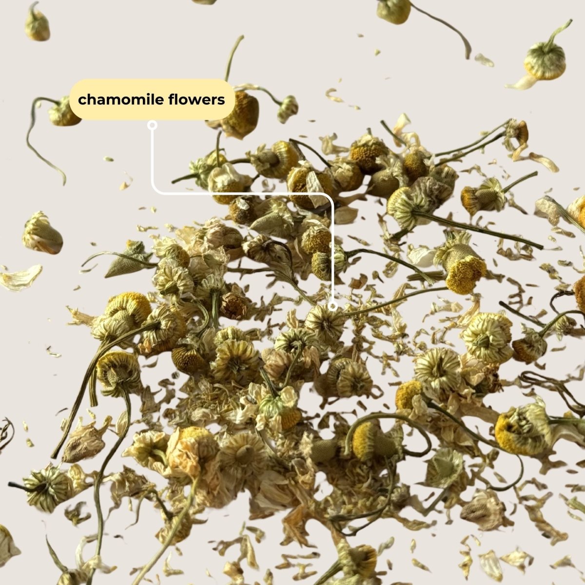 Chamomile Mini Tea Tube (5 tea bags)