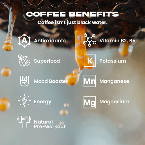 OAXACA COFFEE | COOL BEANS
