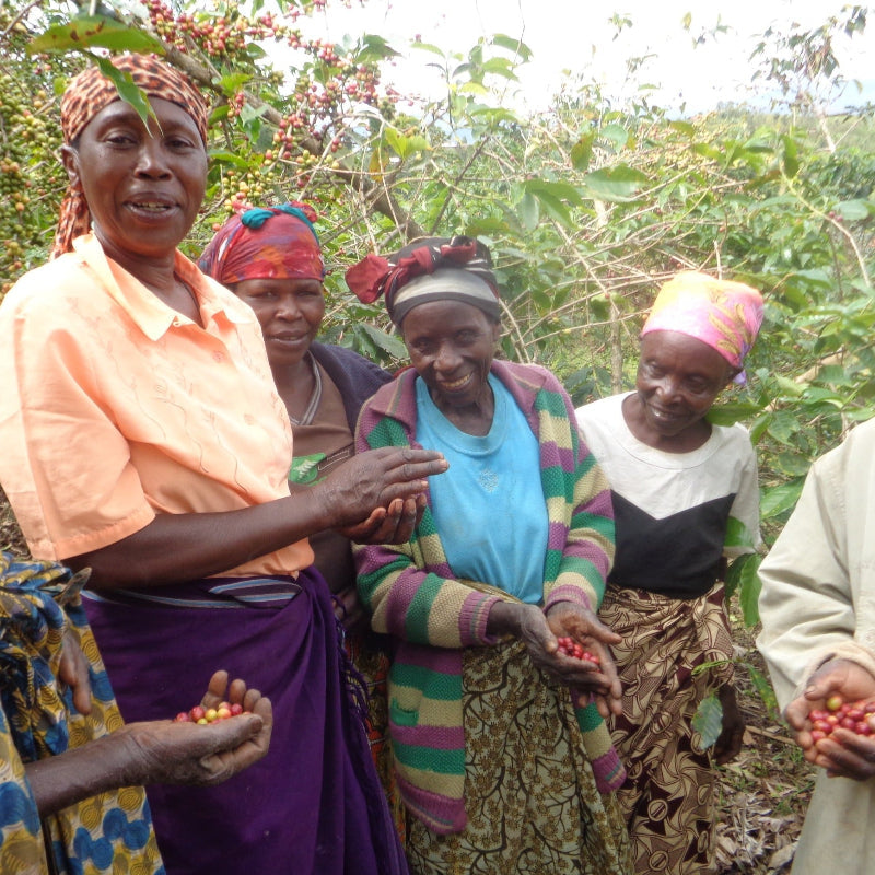 Ejo Heza's Rwanda | Medium-Light Roast
