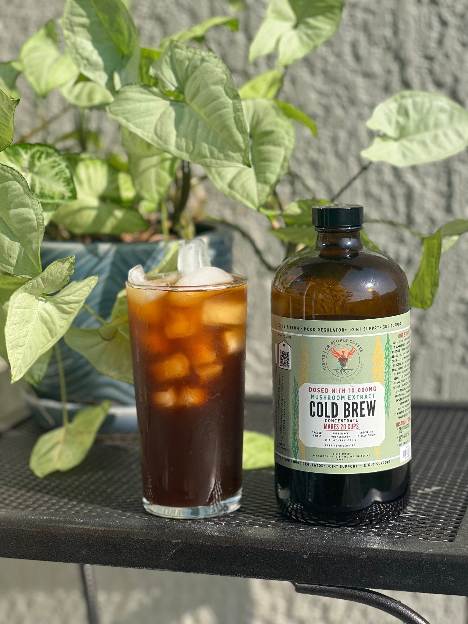 Functional Mushroom Cold Brew Concentrate