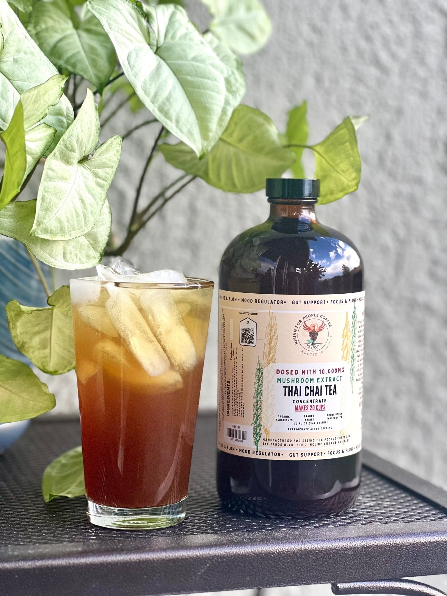 Mushroom Thai Chai Tea Concentrate