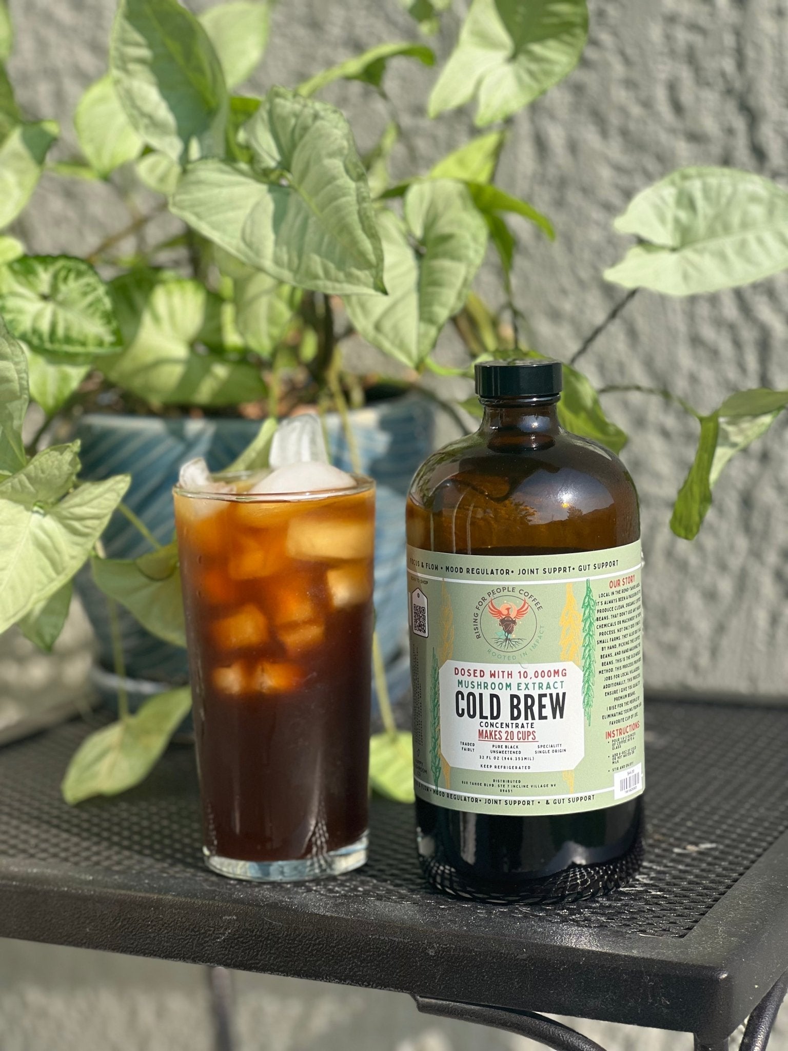 Functional Mushroom Cold Brew Concentrate