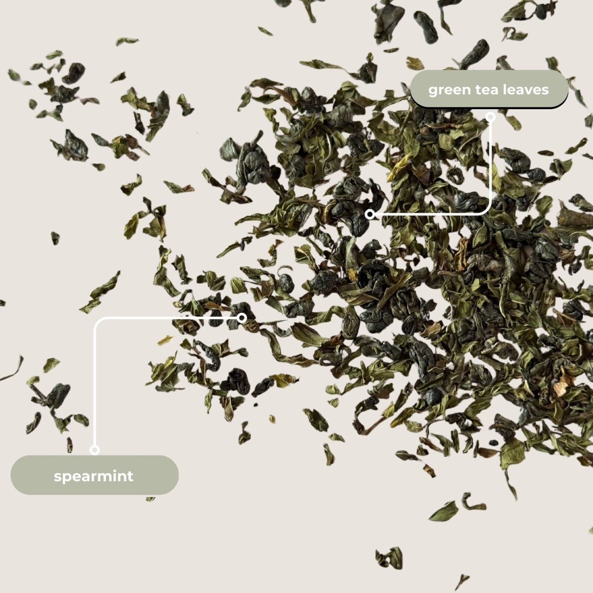 Moroccan Mint Mini Tea Tube (5 tea bags)