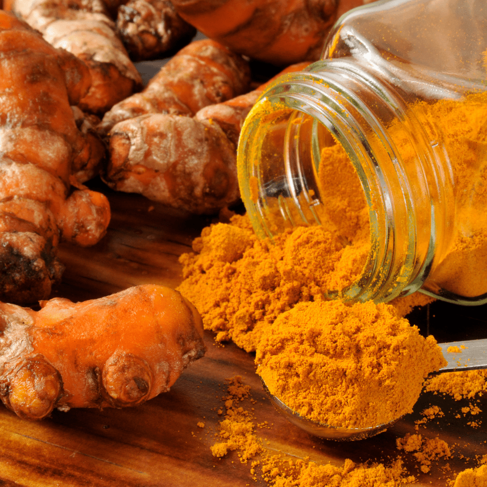 Turmeric Ginger Hot Tea  Pouch