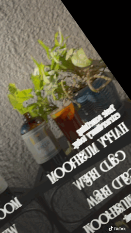 Functional Mushroom Cold Brew Concentrate