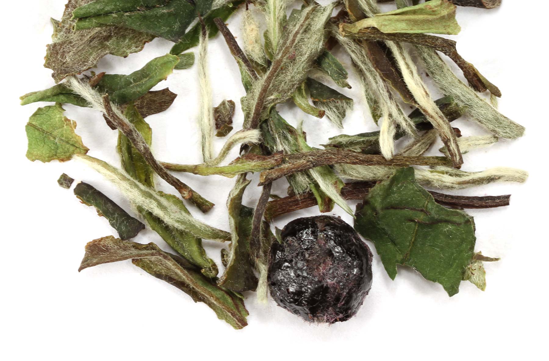 White Blueberry