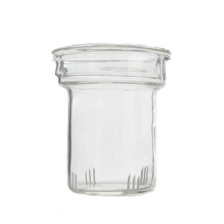 Yama Glass Infuser (For Pumpkin Teapot)
